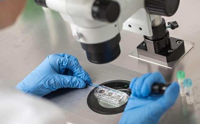 Fertility Testing